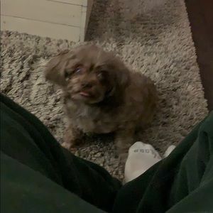 Meet your Posher, Tony